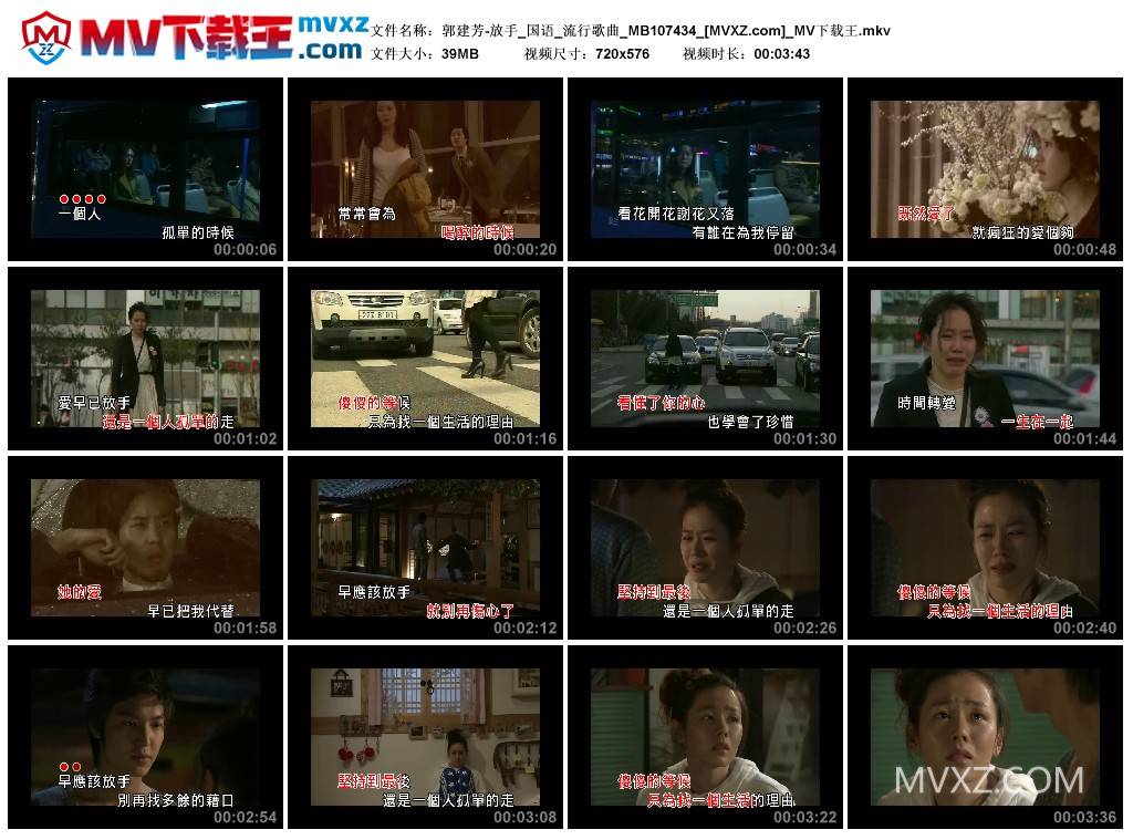 郭建芳-放手_国语_流行歌曲_MB107434
